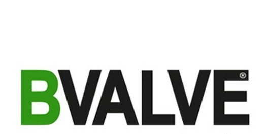 Induchem Group Partnership with BVALVE